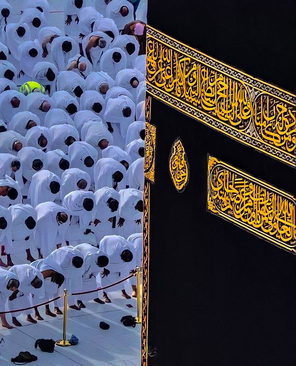 صورة من المعرض